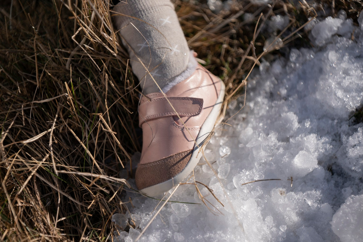 BBX_Asset_Arctic21_5