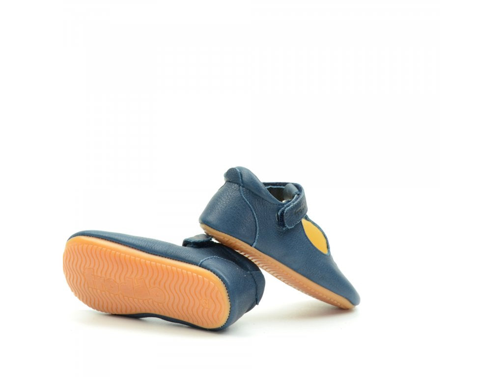 1562-4_froddo-g1130006-2-dsrk-blue