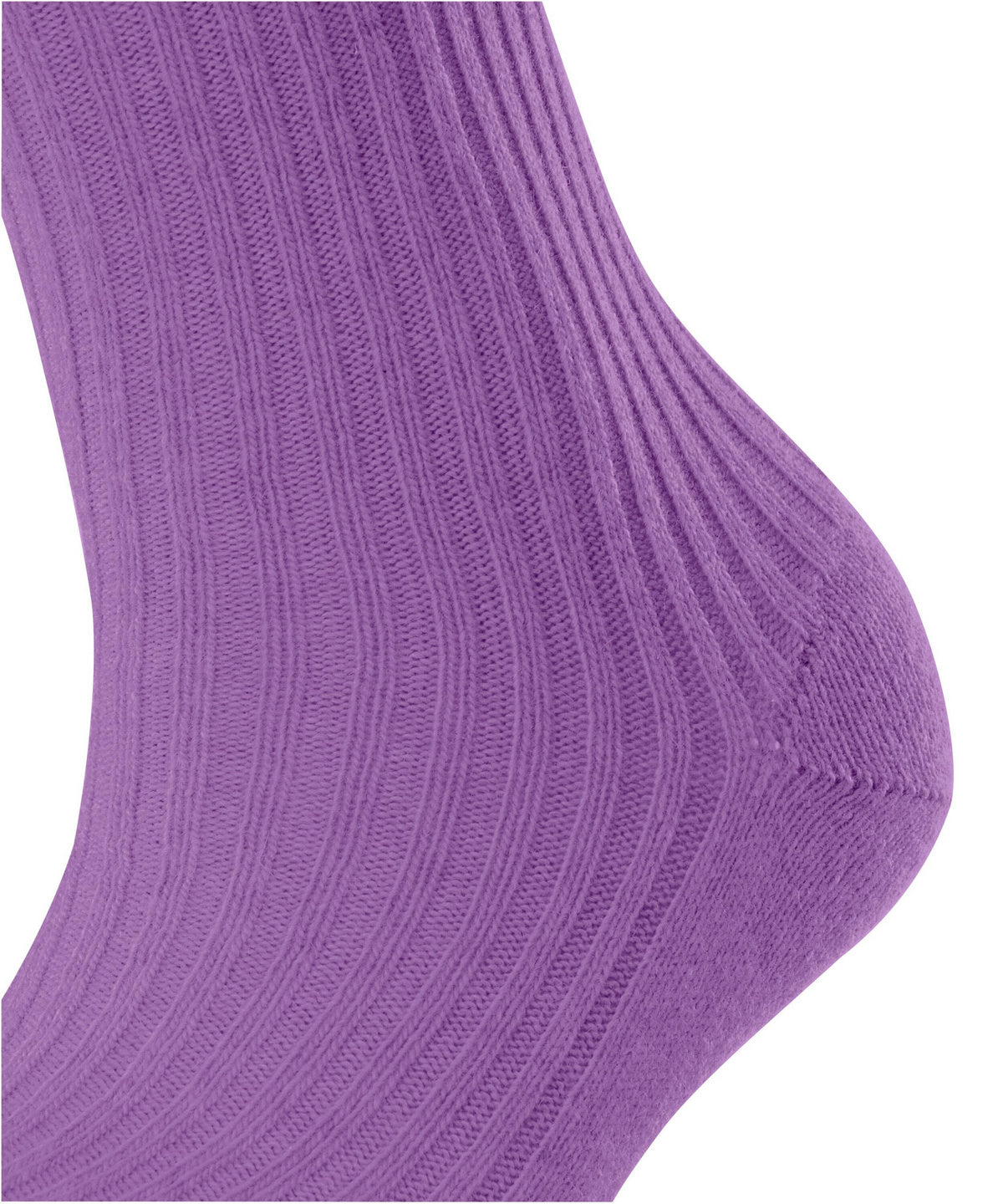 1632560-c5e9057938670