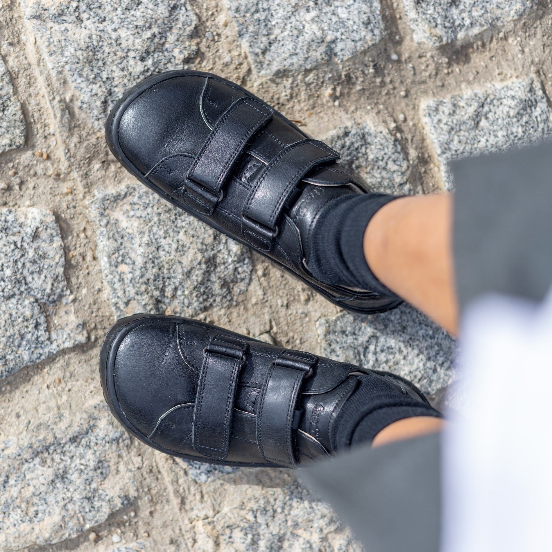 Froddo Loop Steve Black Barefoot skolas kurpes