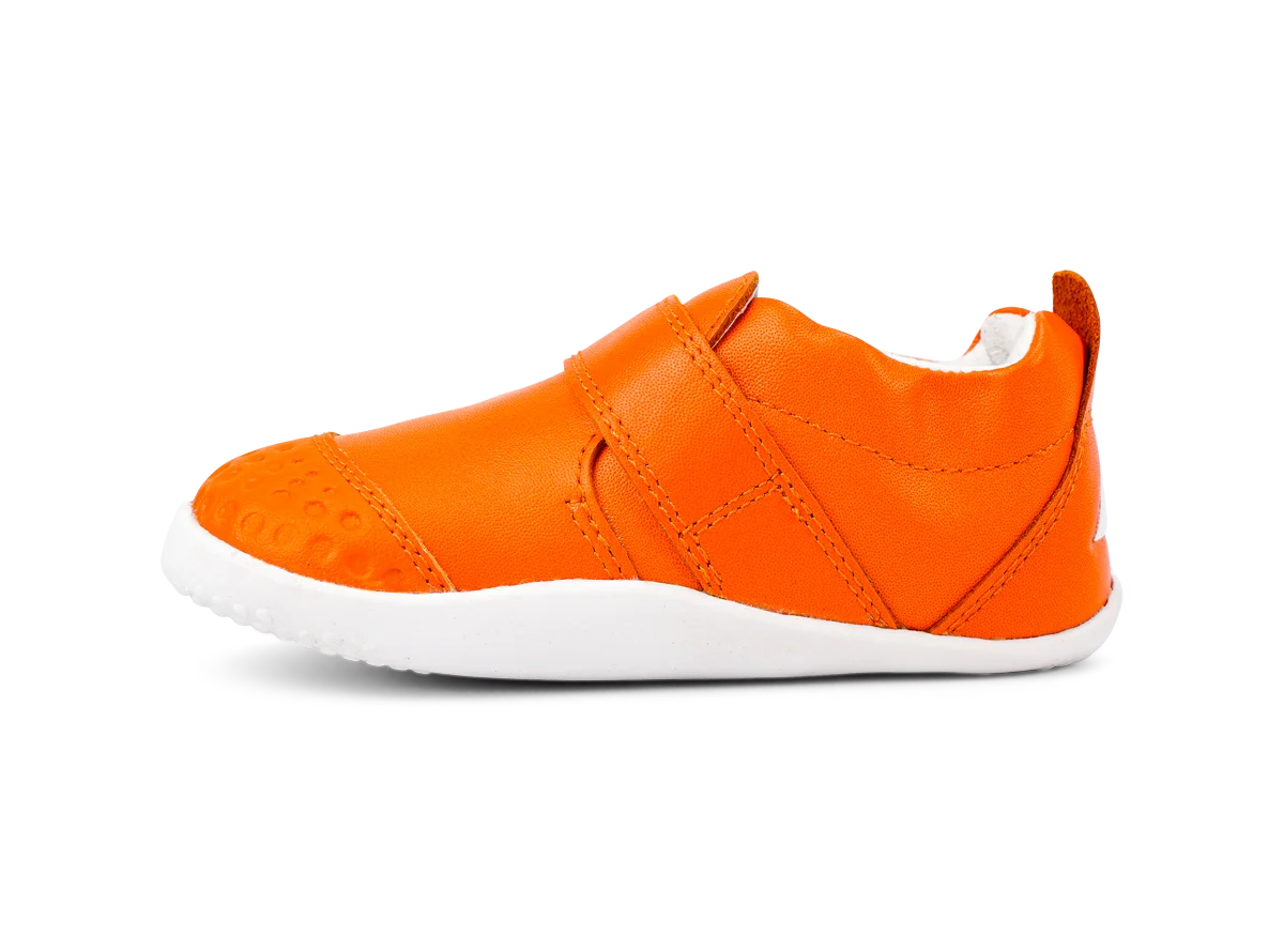 BOBUX_PWEBDET_501035_TangeloGo_6