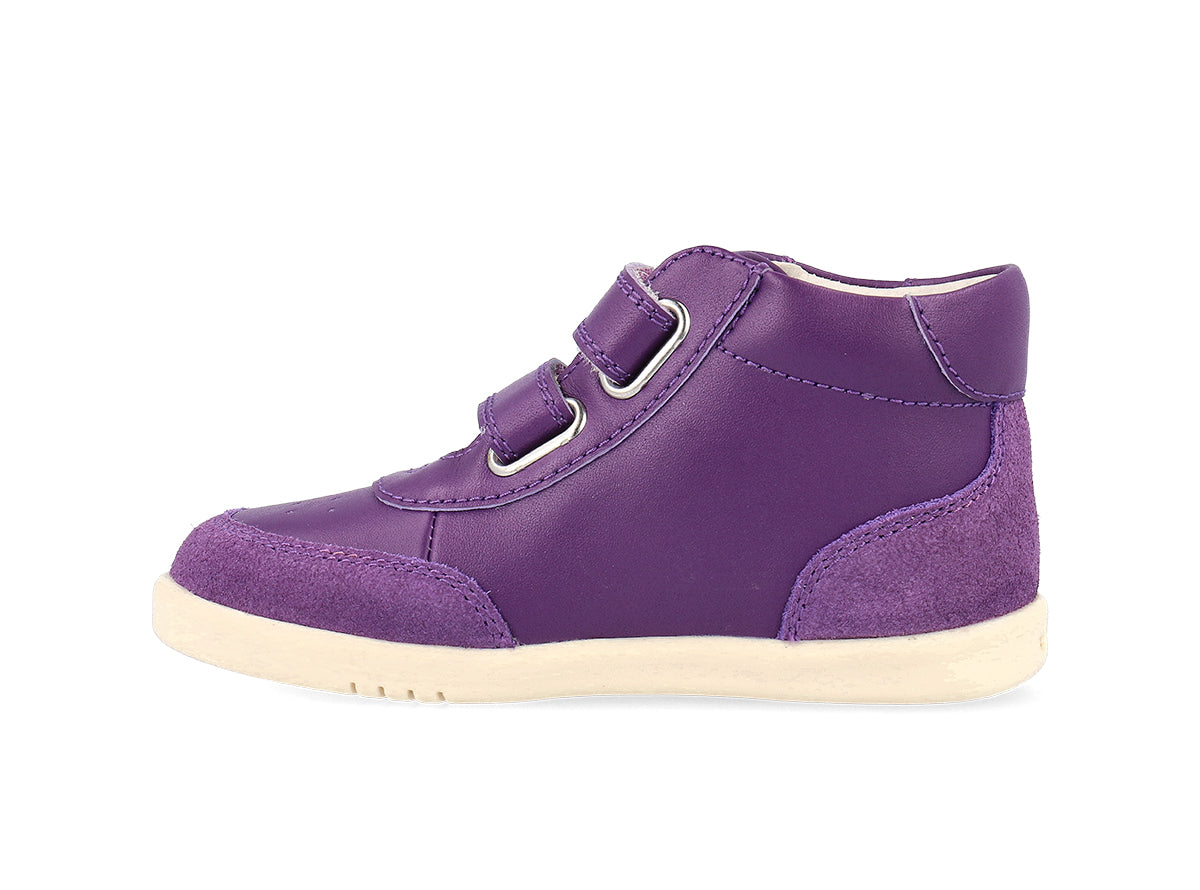 BOBUX_PWEBDET_651004_MurasakiPurpleChalkChampHigh_3