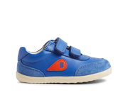 BOBUX_PWEBSID_750507_olympianbluechamp_2