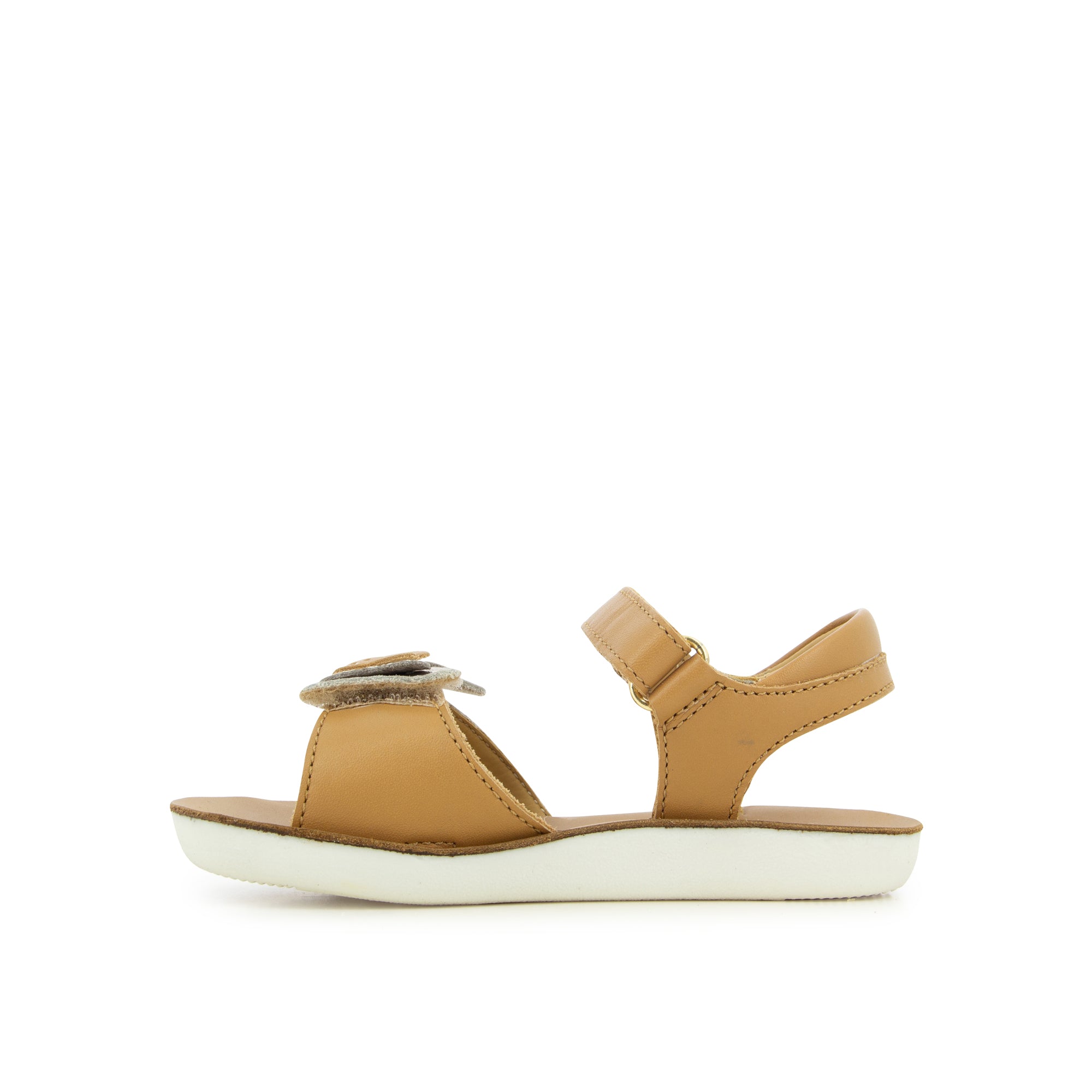 SHOOPOM / ETE 2025 / GOA FLY / NAPPA + CAOUTCHOUC / CLEAR CAMEL